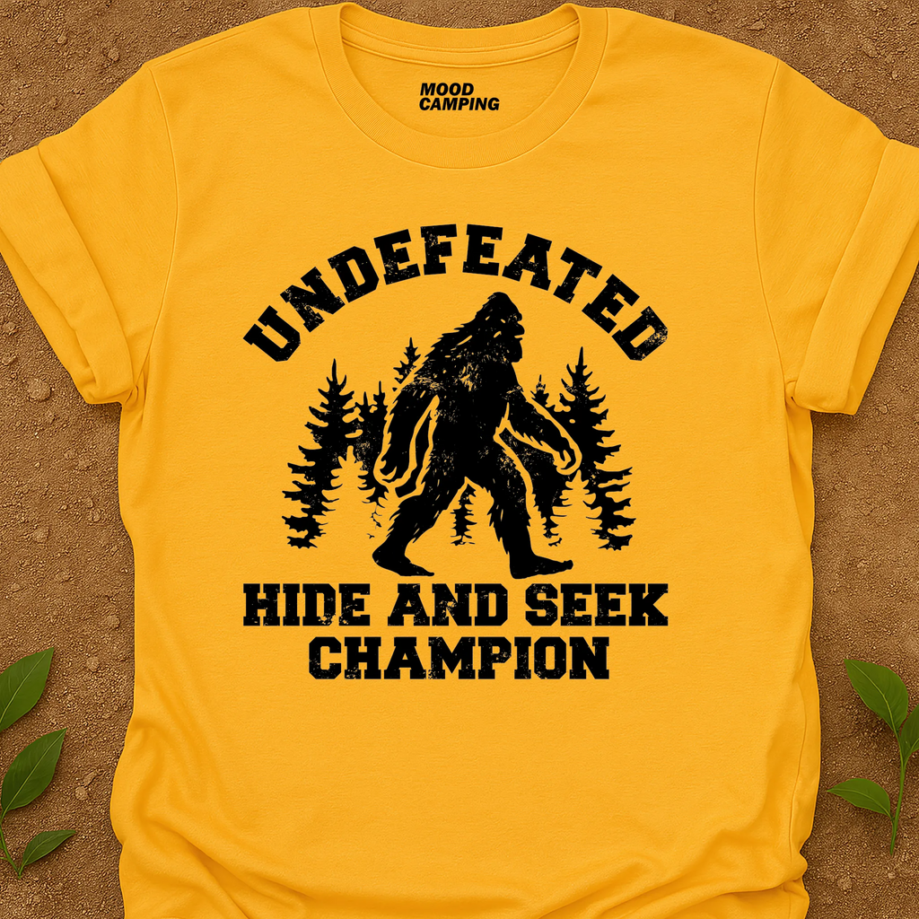 Hide And Seek T-Shirt